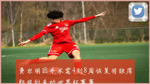 费尔明因手术需4到8周恢复将缺席即将到来的世界杯赛事