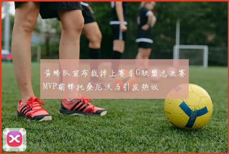 黄蜂队宣布裁掉上赛季G联盟总决赛MVP前锋托桑厄沃马引发热议